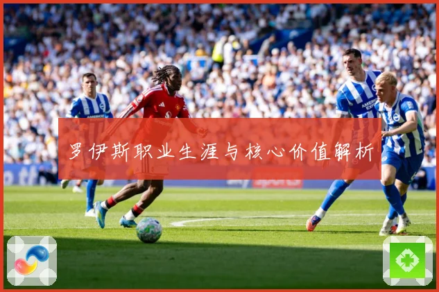 罗伊斯职业生涯与核心价值解析
