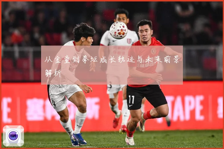 从金童到拳坛成长轨迹与未来前景解析