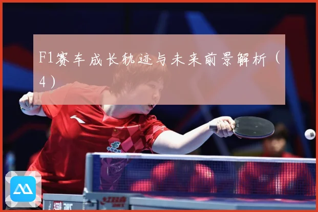 F1赛车成长轨迹与未来前景解析（4）