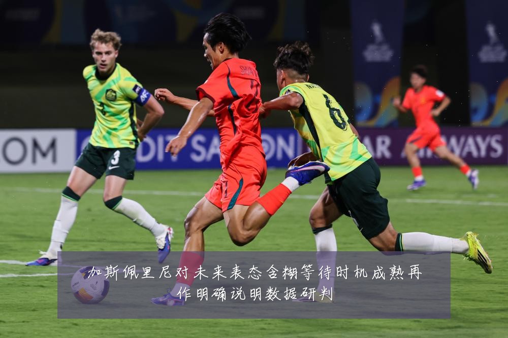 加斯佩里尼对未来表态含糊等待时机成熟再作明确说明数据研判